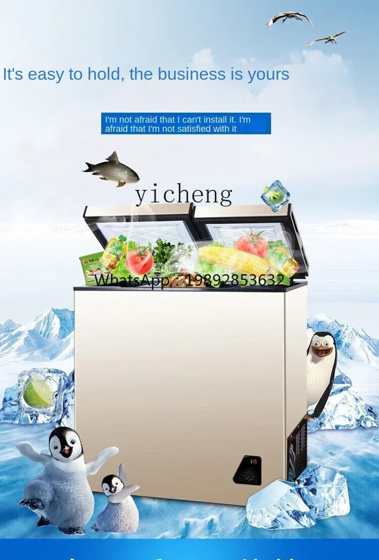 Food Storage Temperature - Household Full Frozen Small Mini Power