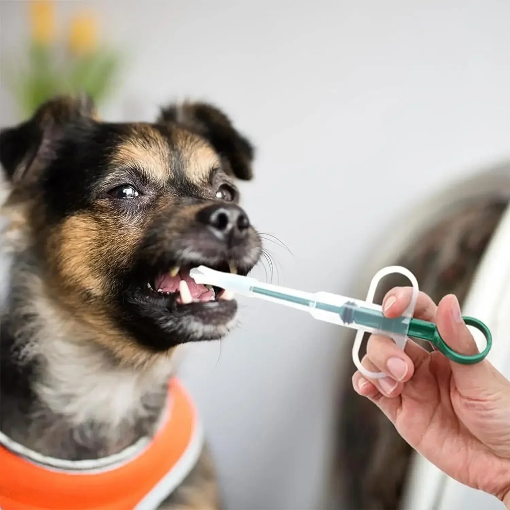 Dog Cat AccessoriesPet Syringe – обзор и цена Food Storage Youtube