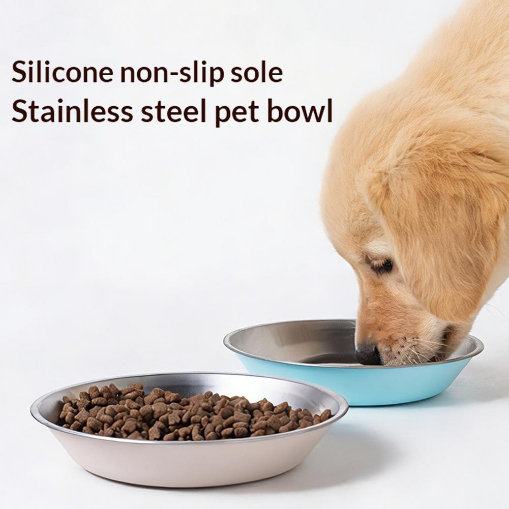 Dog Bowl Stainless Steel Pet B – обзор и цена Storage Tips For Food