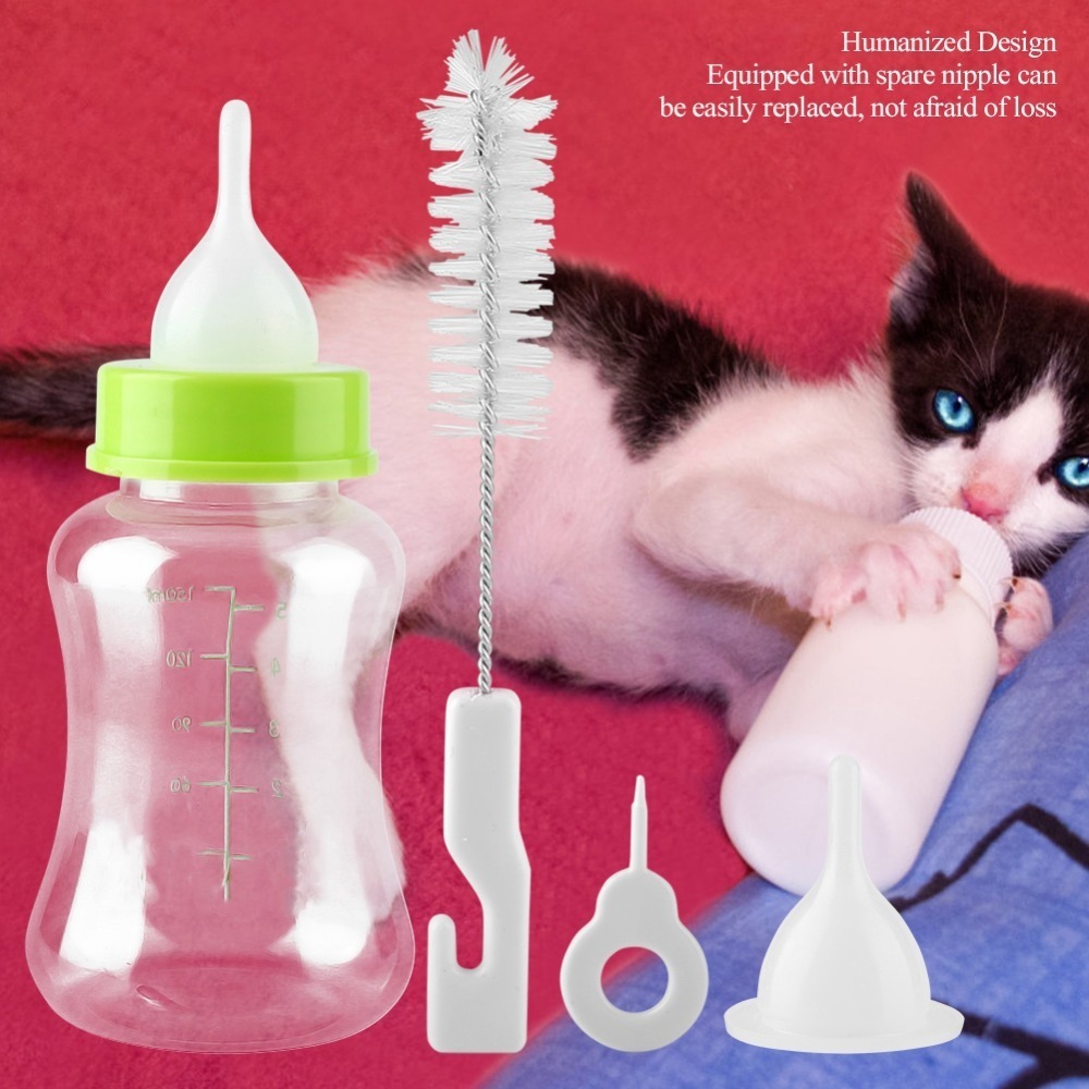 4pcs/ Set 150ml Capacity Pet F – обзор и цена Storage Tips For Food