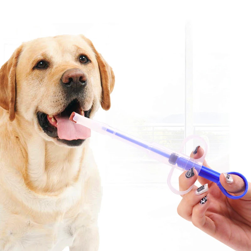 Pet Medicine Feeder Syringe Ki – обзор и цена Storage Tips For Food